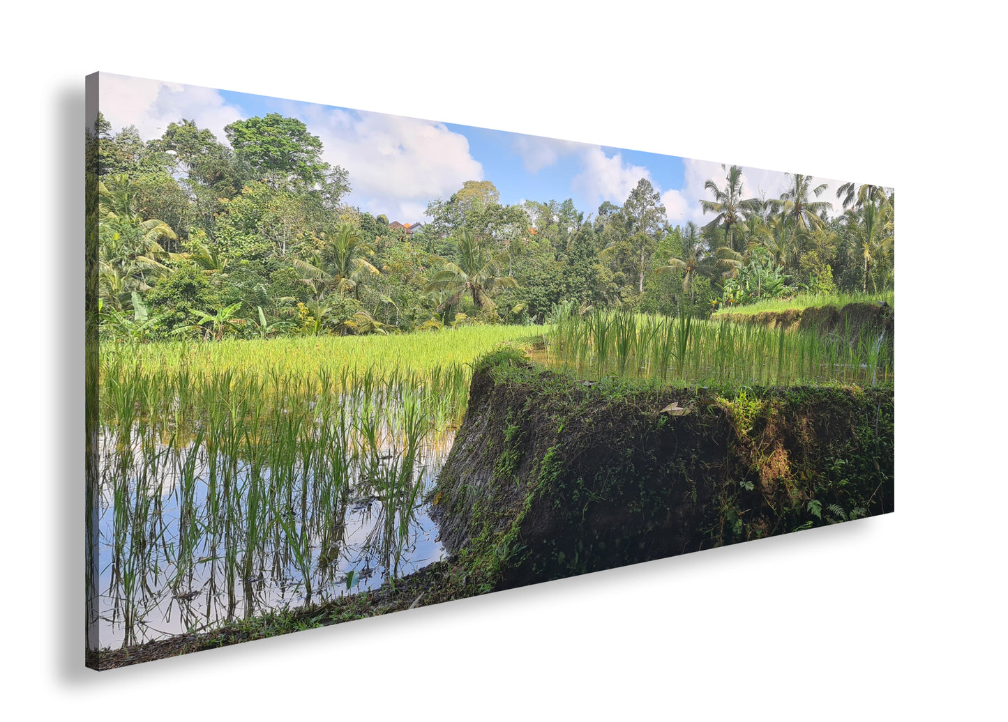 Hauptbild Farbig Panorama