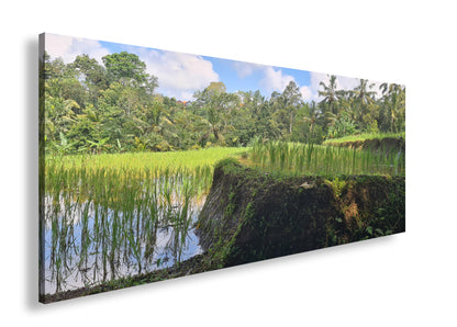 Hauptbild Farbig Panorama