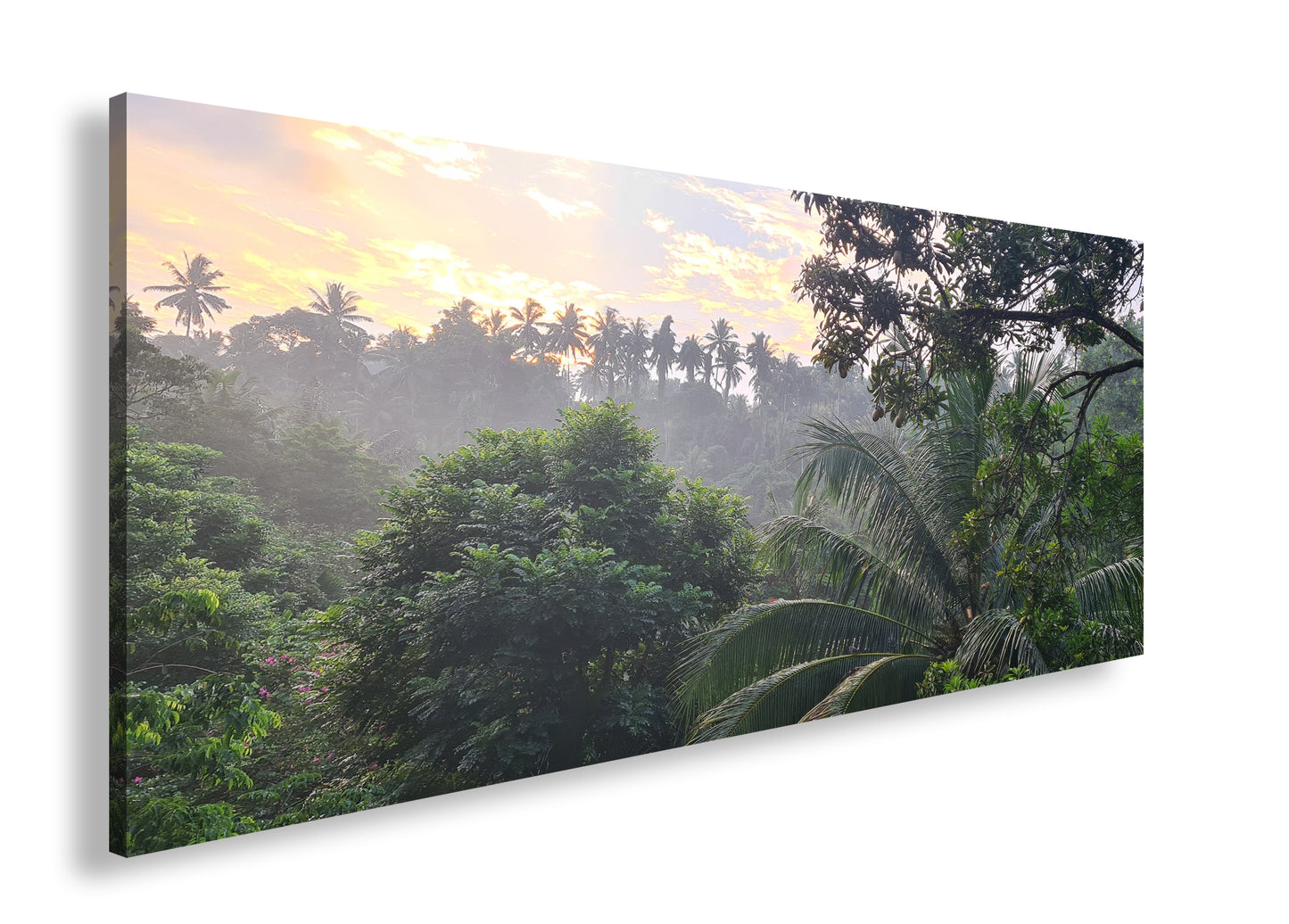 Hauptbild Farbig Panorama