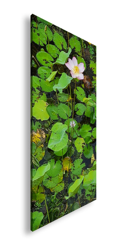 Hauptbild Farbig Panorama