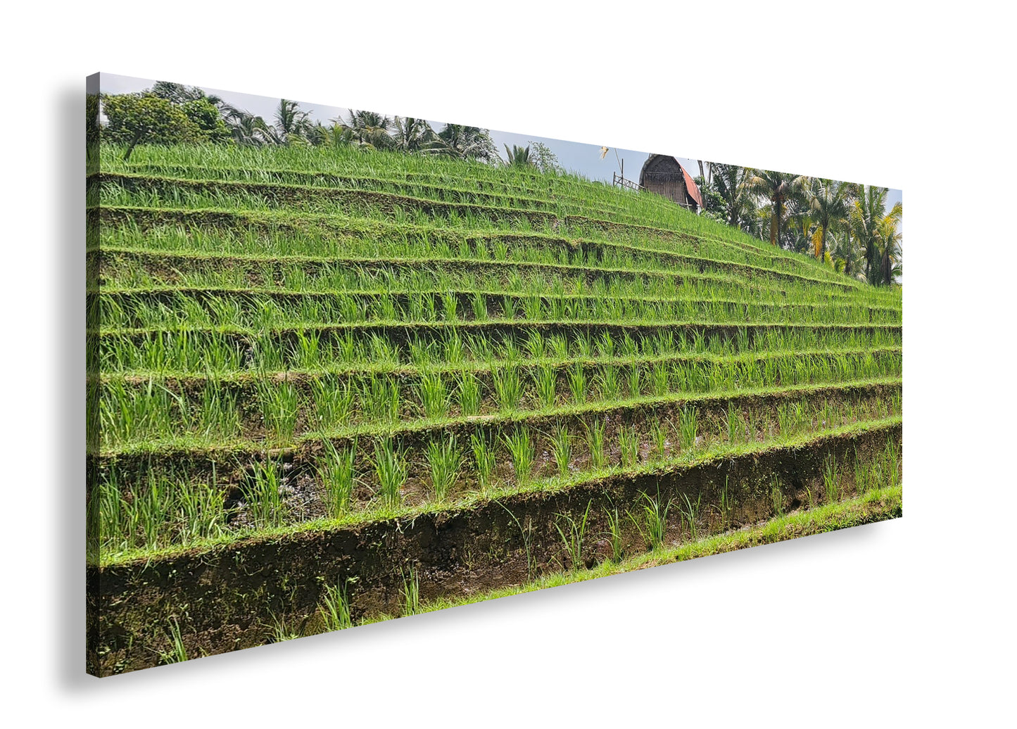 Hauptbild Farbig Panorama