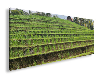 Hauptbild Farbig Panorama