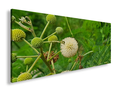 Hauptbild Farbig Panorama