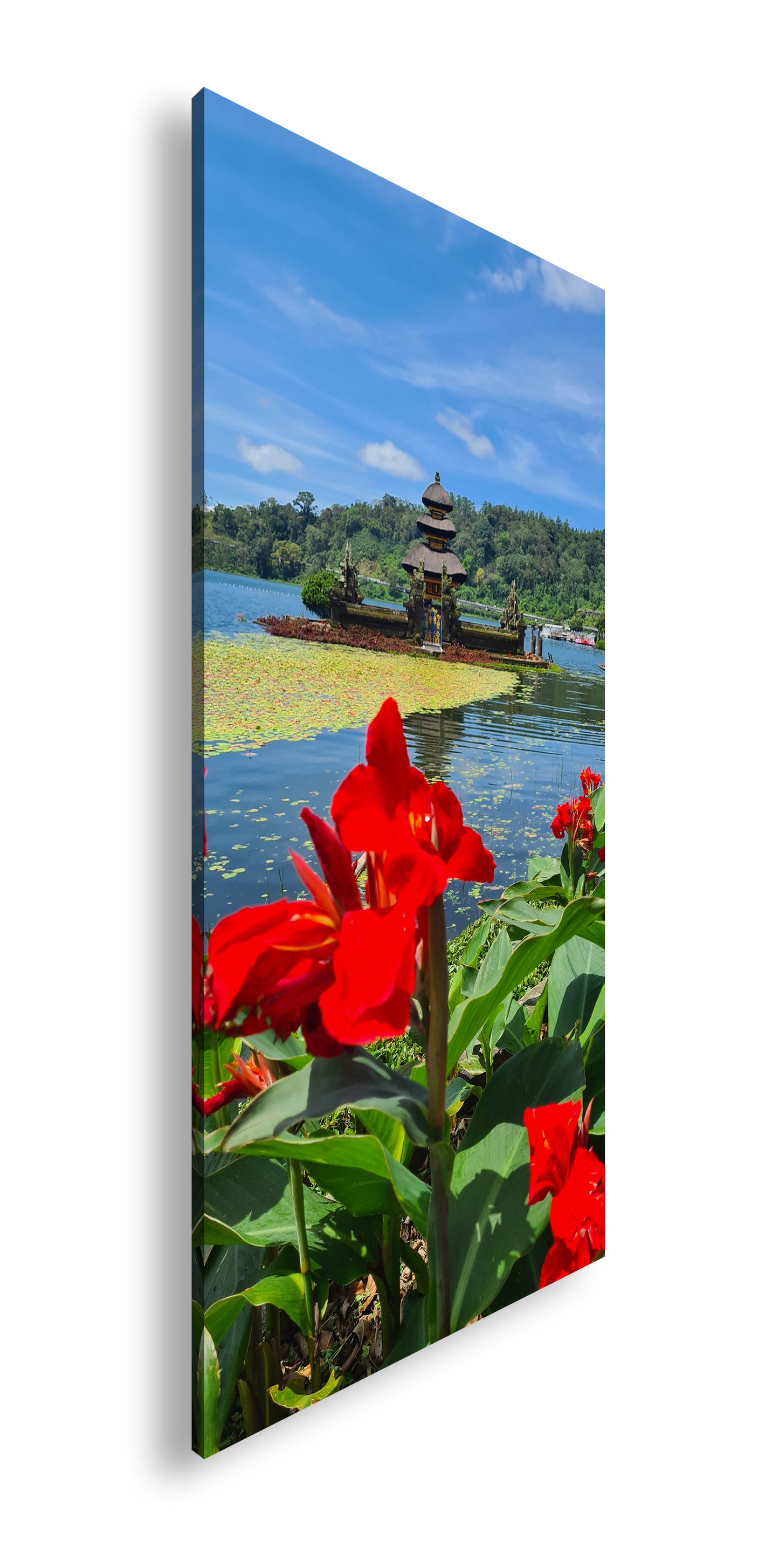 Hauptbild Farbig Panorama