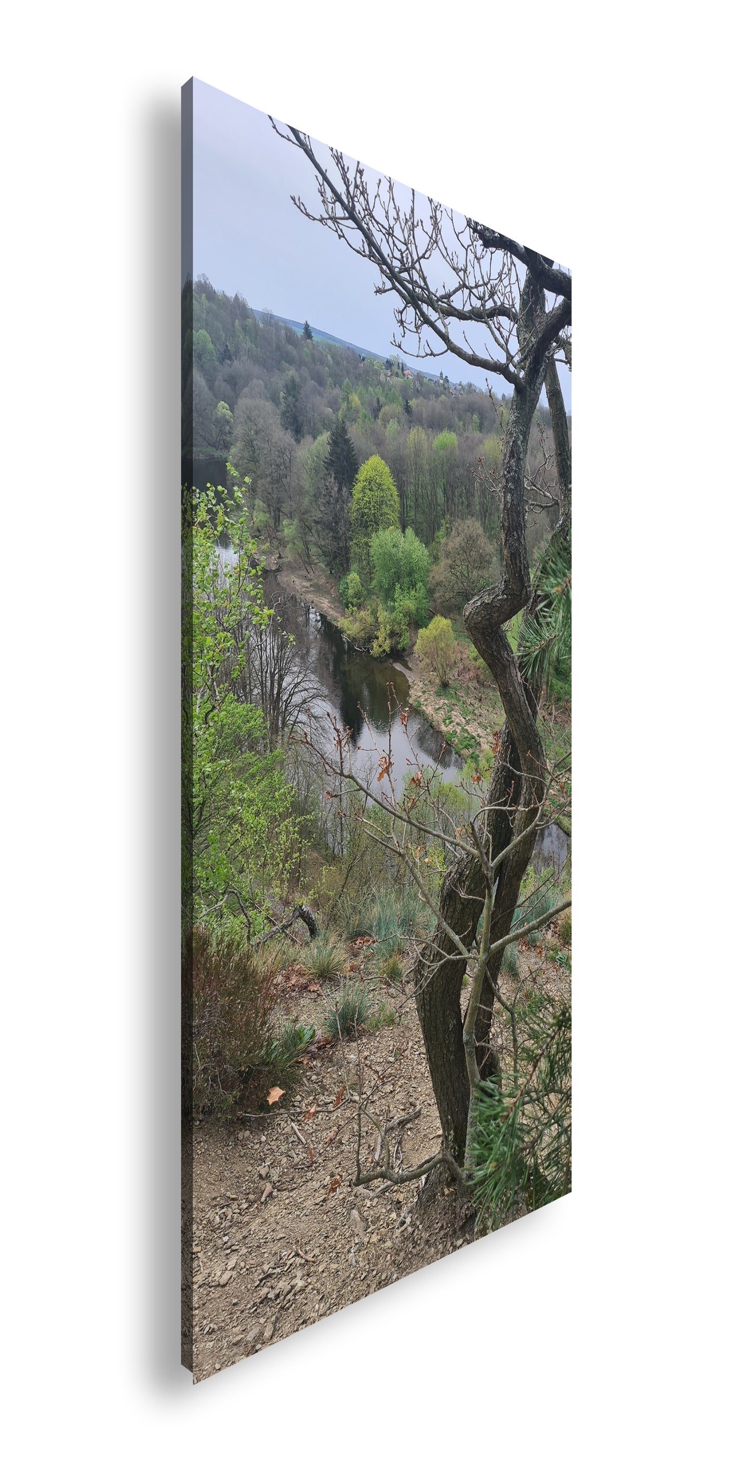 Hauptbild Farbig Panorama