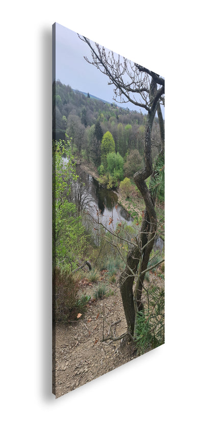 Hauptbild Farbig Panorama