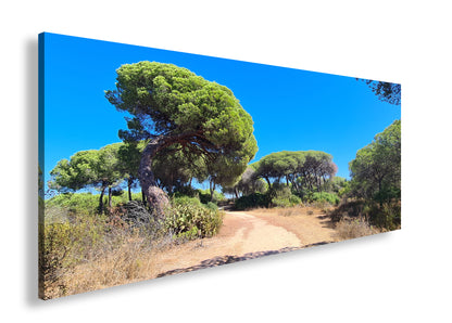 Hauptbild Farbig Panorama