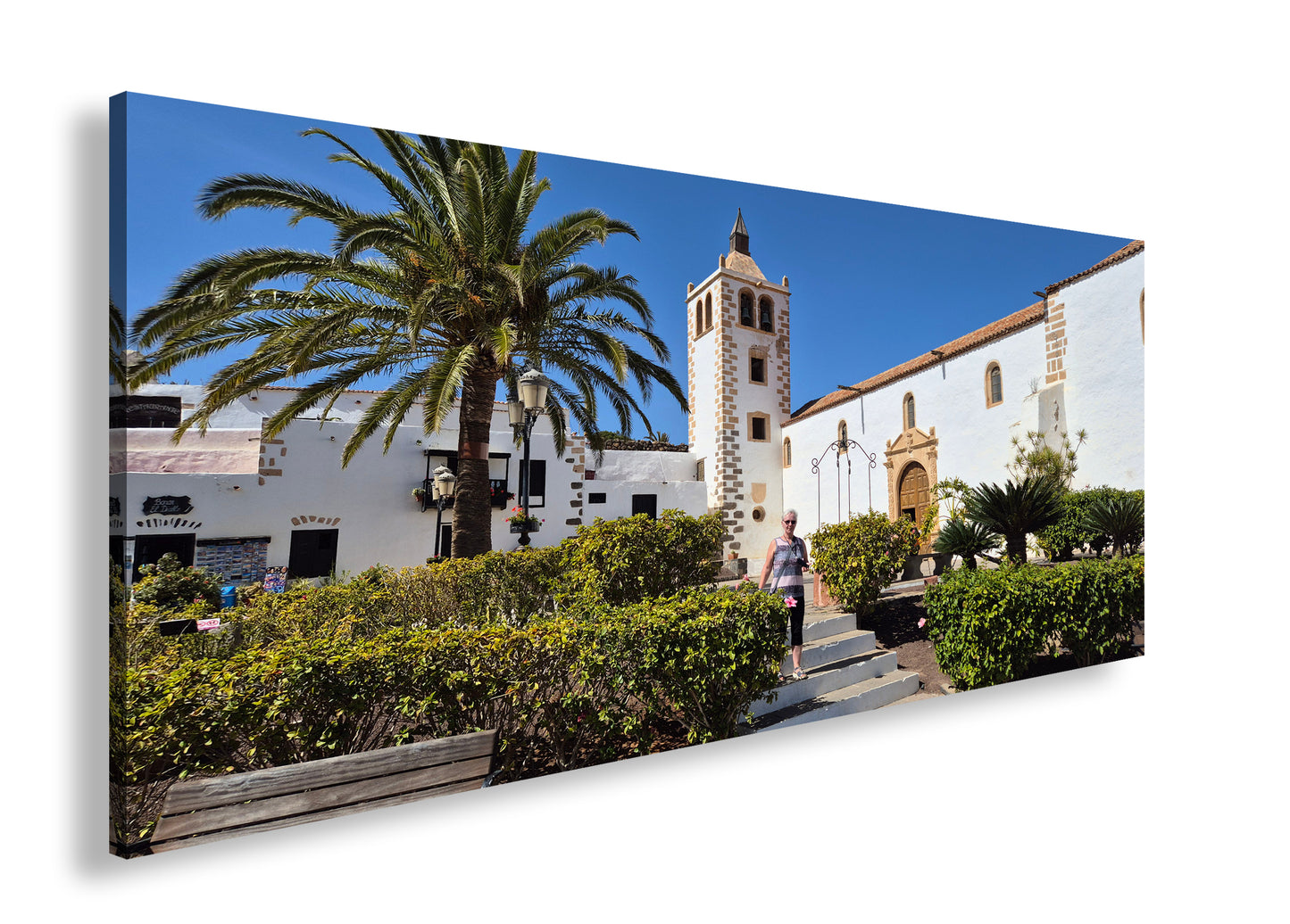 Hauptbild Farbig Panorama