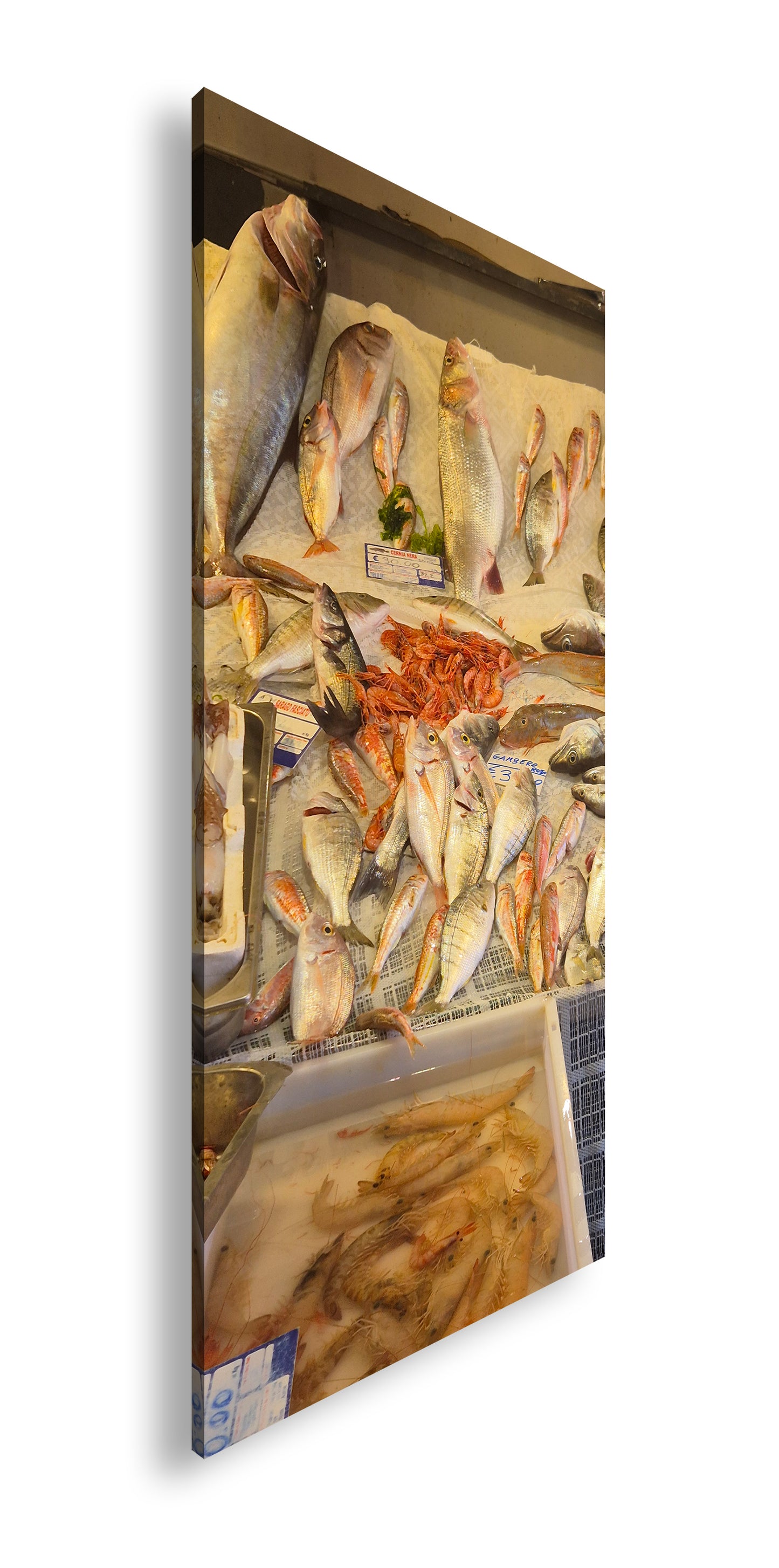 Hauptbild Farbig Panorama