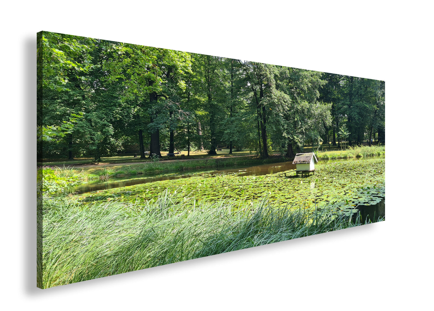 Hauptbild Farbig Panorama