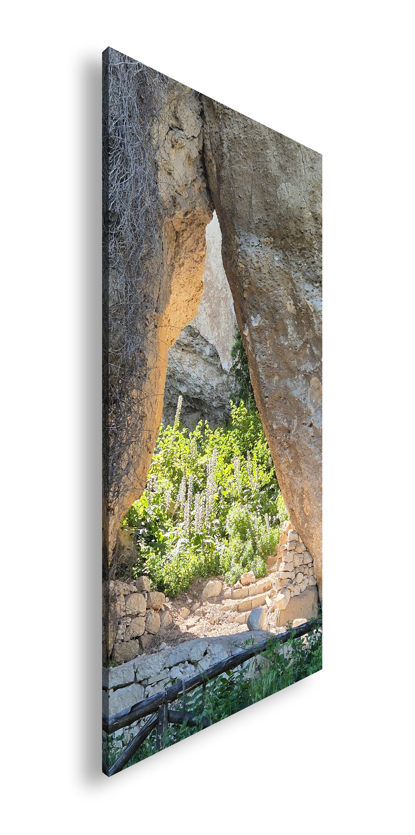 Hauptbild Farbig Panorama