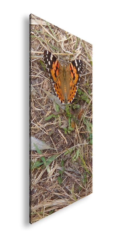 Hauptbild Farbig Panorama