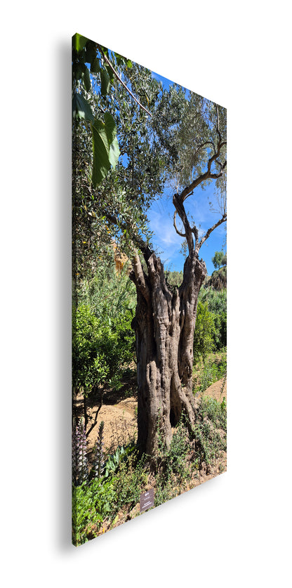 Hauptbild Farbig Panorama