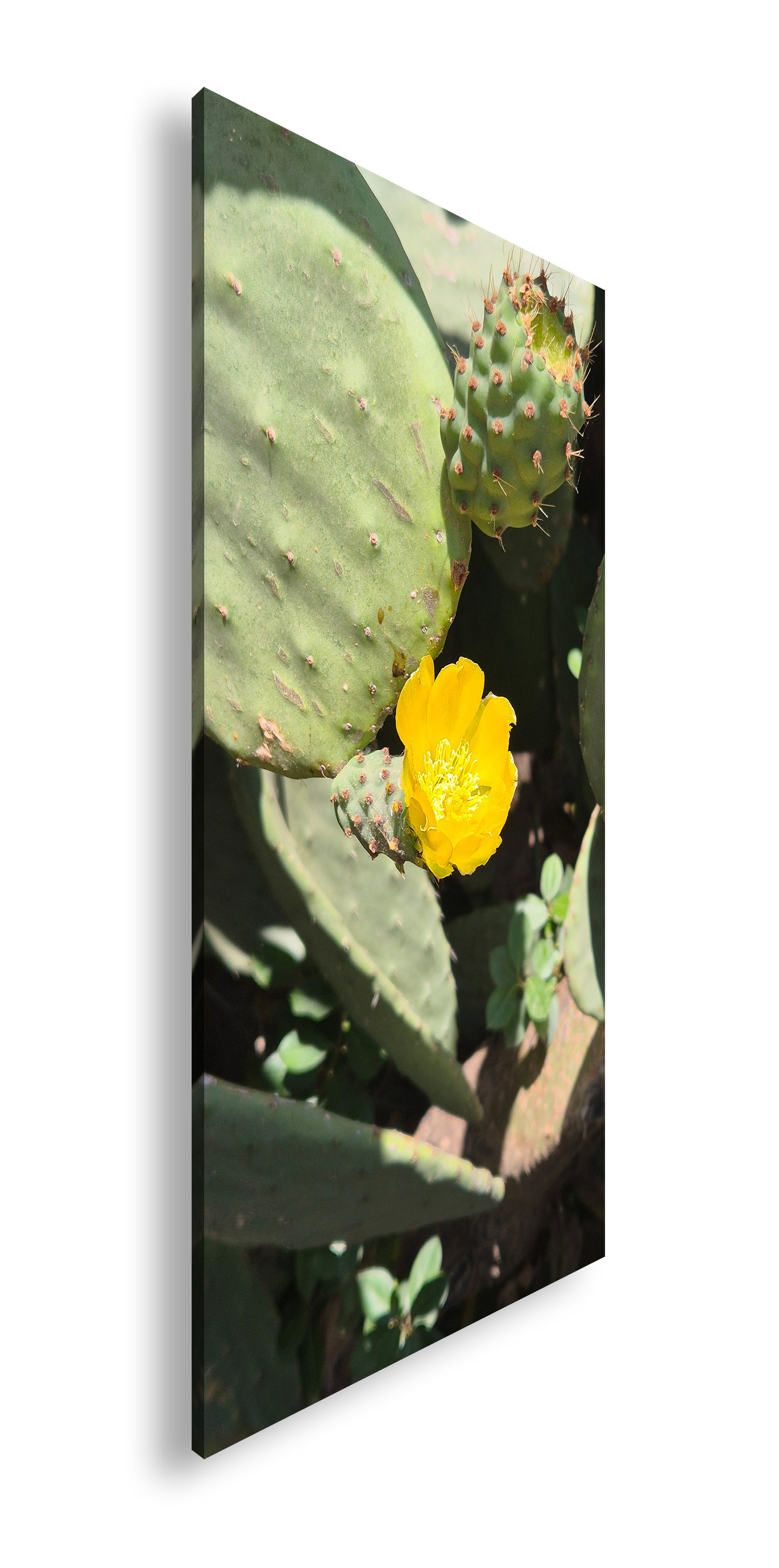 Hauptbild Farbig Panorama