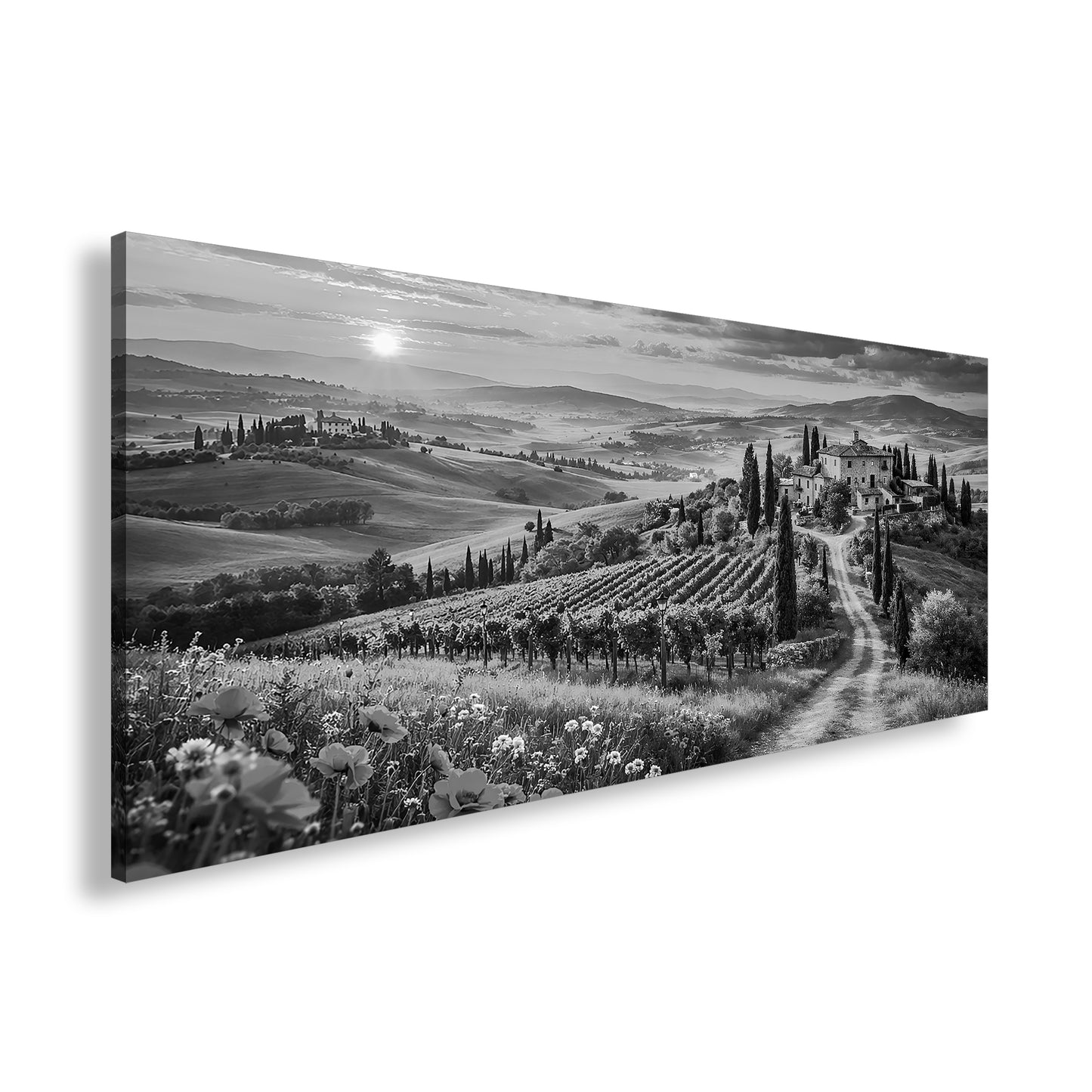Hauptbild Schwarz & Weiß Panorama