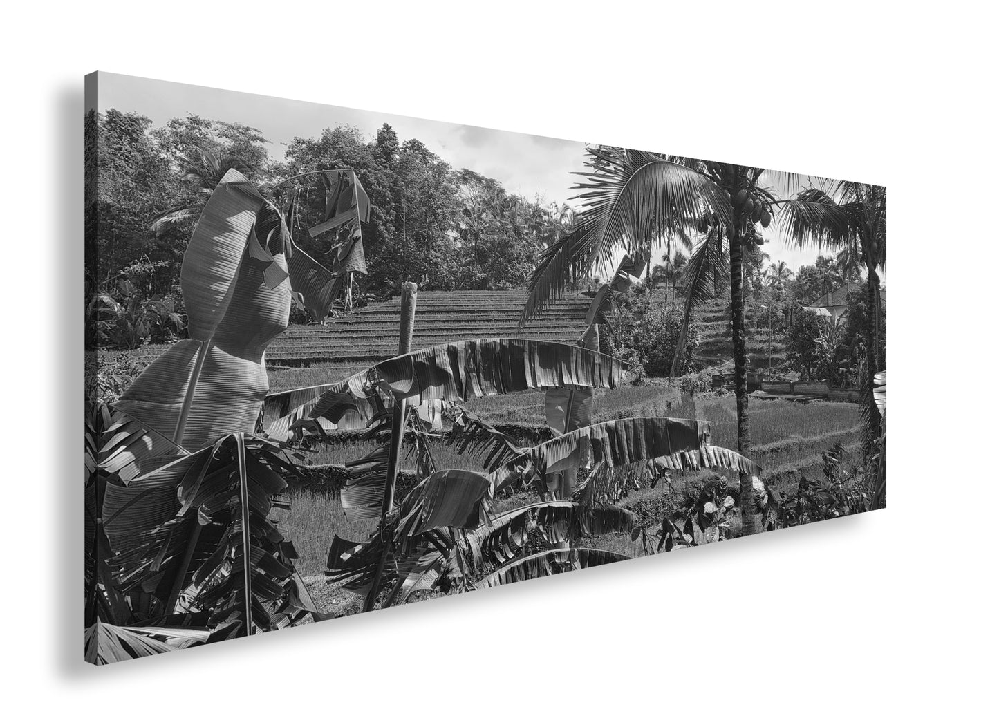 Hauptbild Schwarz & Weiß Panorama