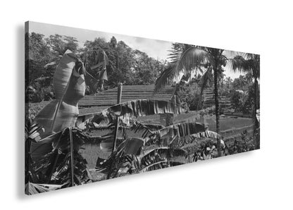 Hauptbild Schwarz & Weiß Panorama