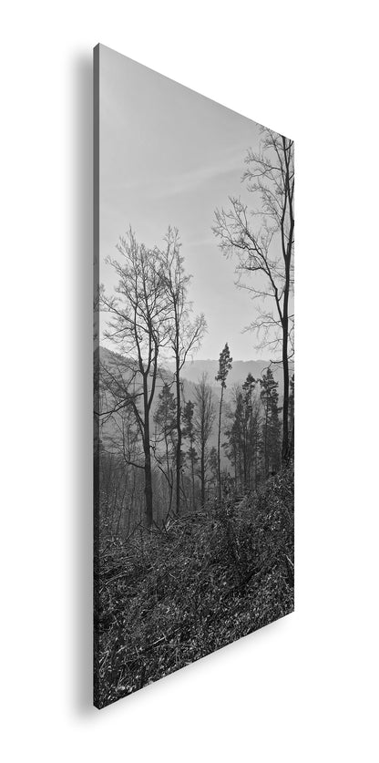 Hauptbild Schwarz & Weiß Panorama