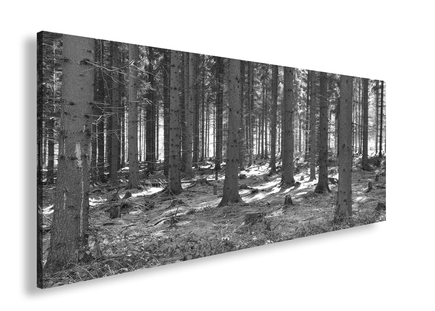 Hauptbild Schwarz & Weiß Panorama