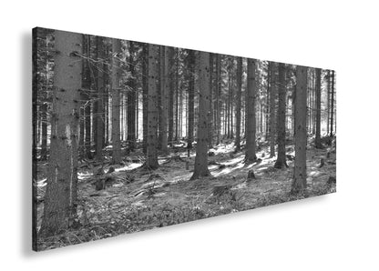 Hauptbild Schwarz & Weiß Panorama