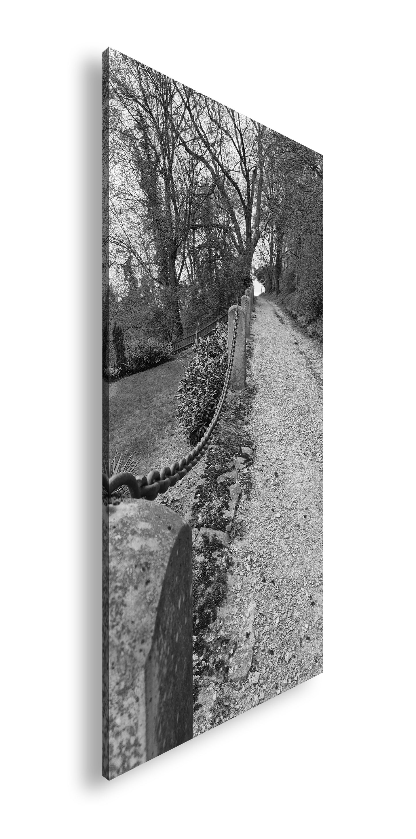 Hauptbild Schwarz & Weiß Panorama