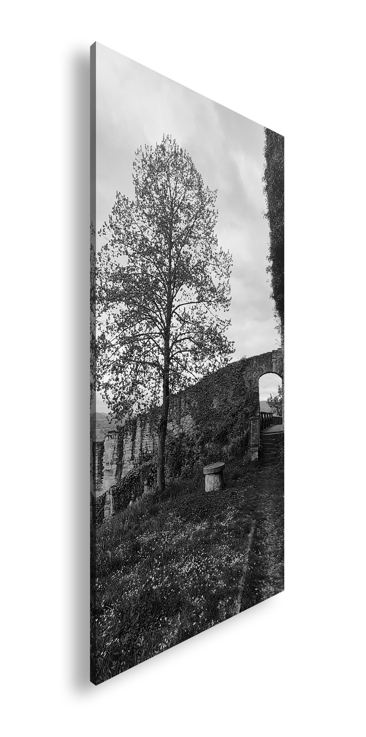 Hauptbild Schwarz & Weiß Panorama