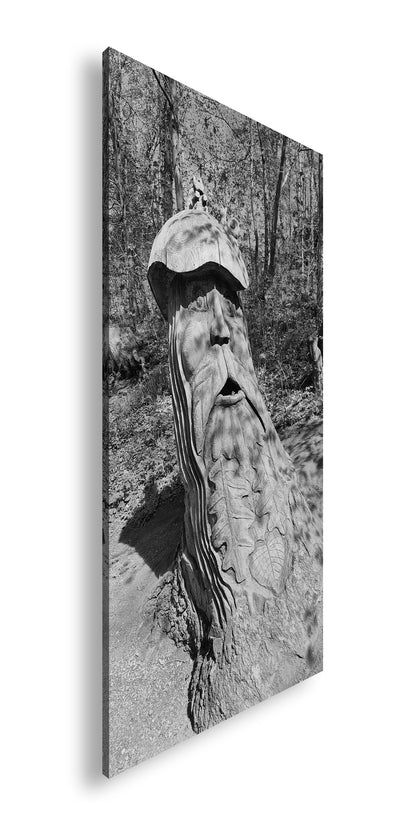 Hauptbild Schwarz & Weiß Panorama