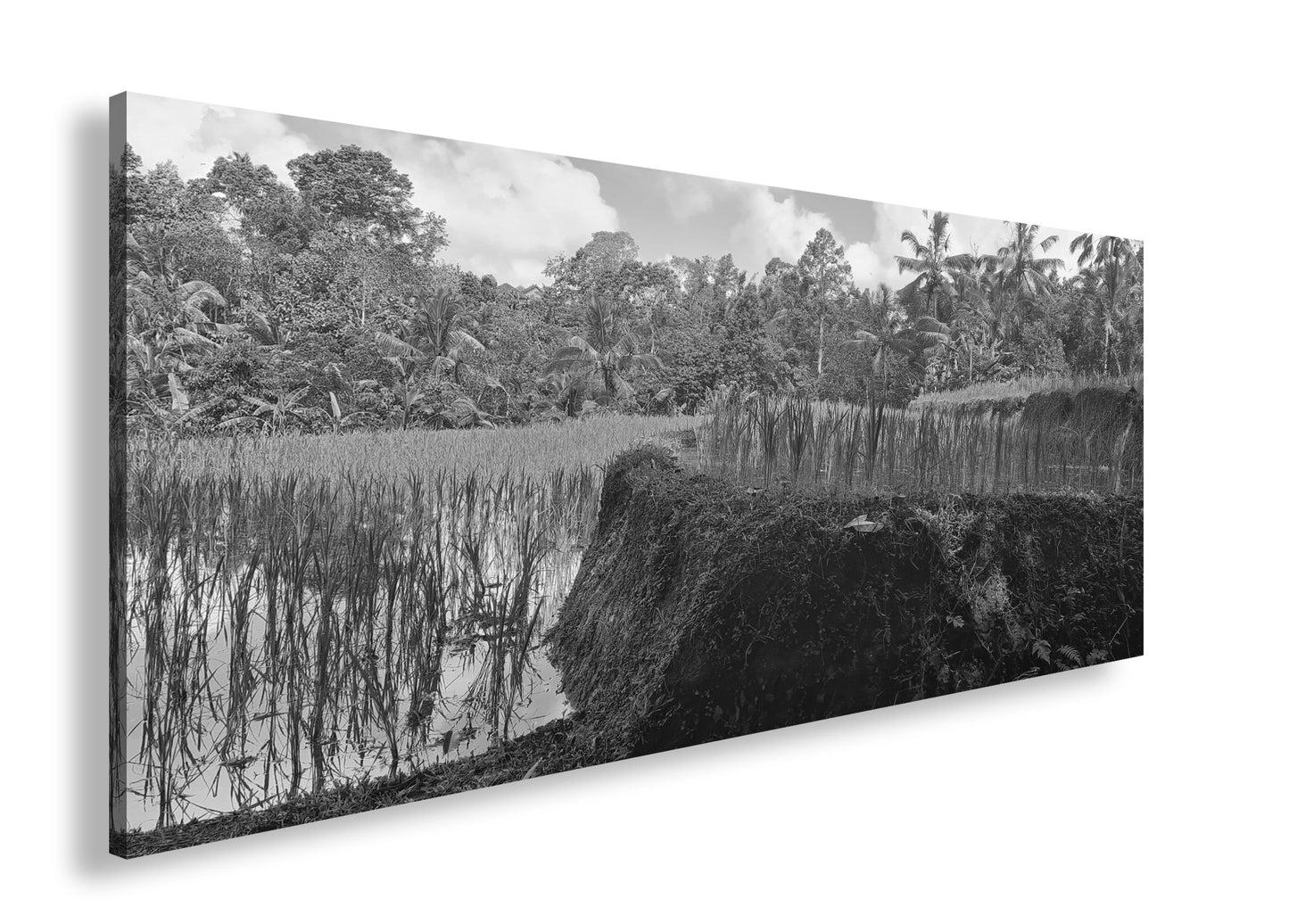 Hauptbild Schwarz & Weiß Panorama