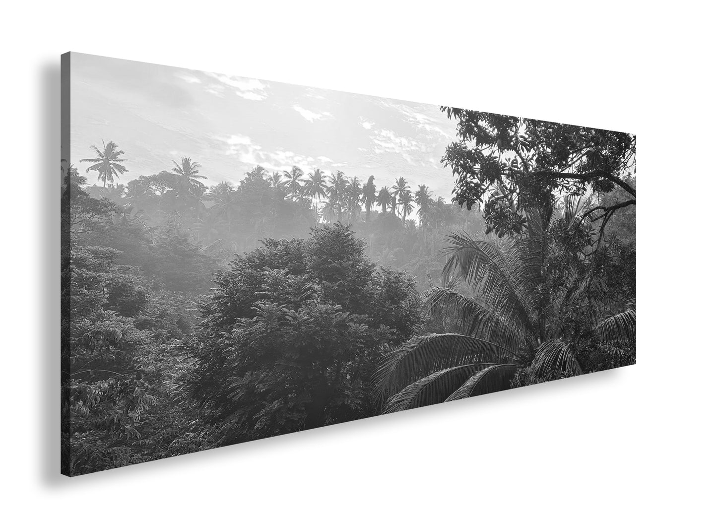 Hauptbild Schwarz & Weiß Panorama