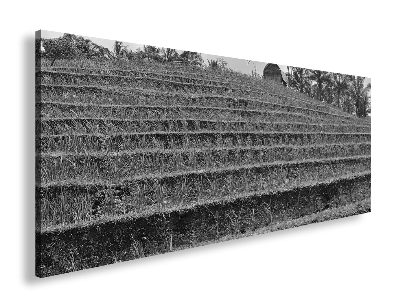 Hauptbild Schwarz & Weiß Panorama