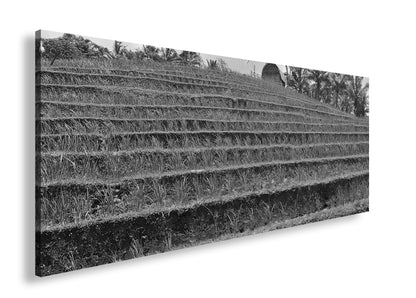 Hauptbild Schwarz & Weiß Panorama