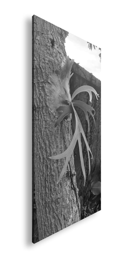 Hauptbild Schwarz & Weiß Panorama