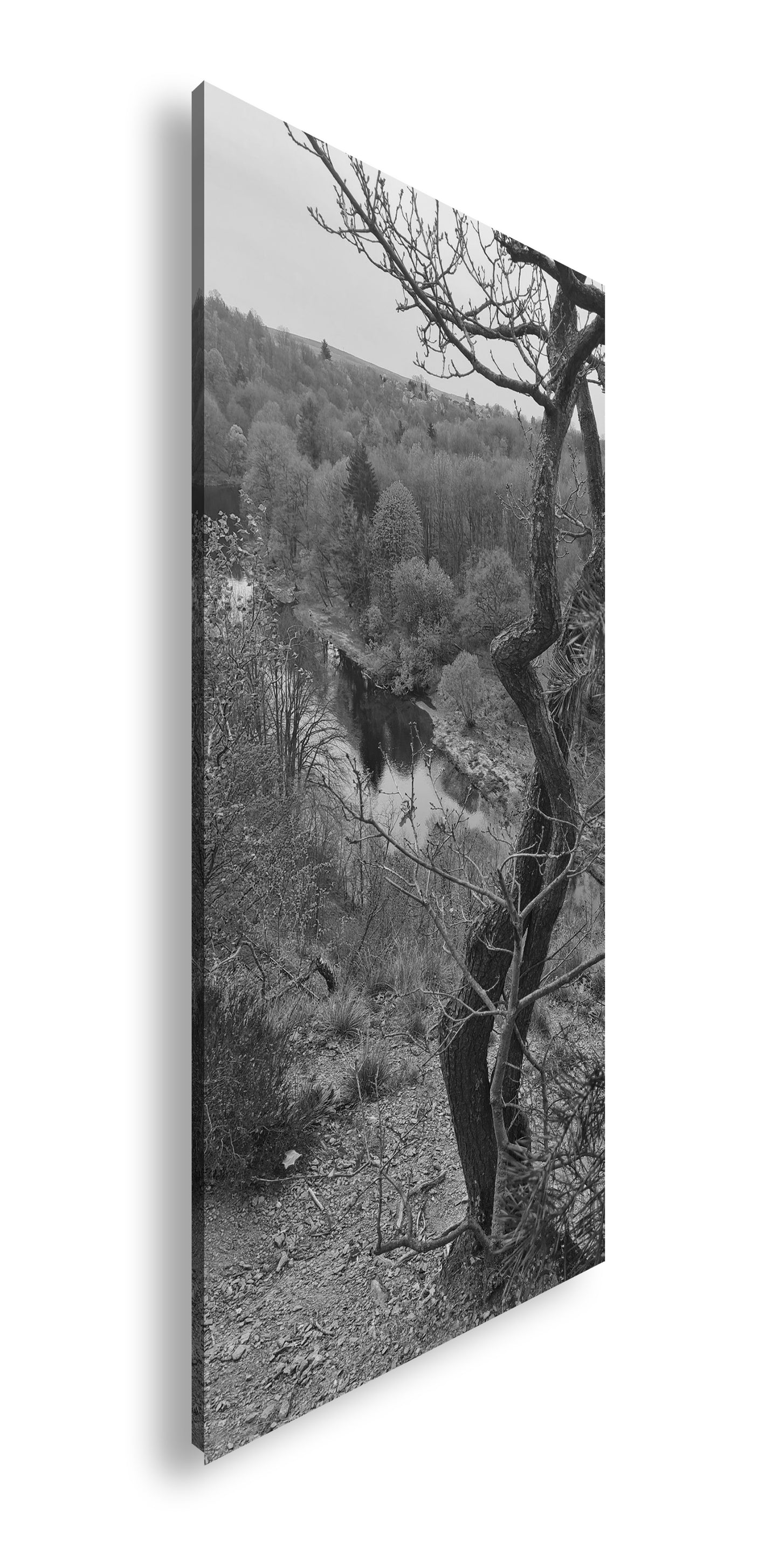 Hauptbild Schwarz & Weiß Panorama