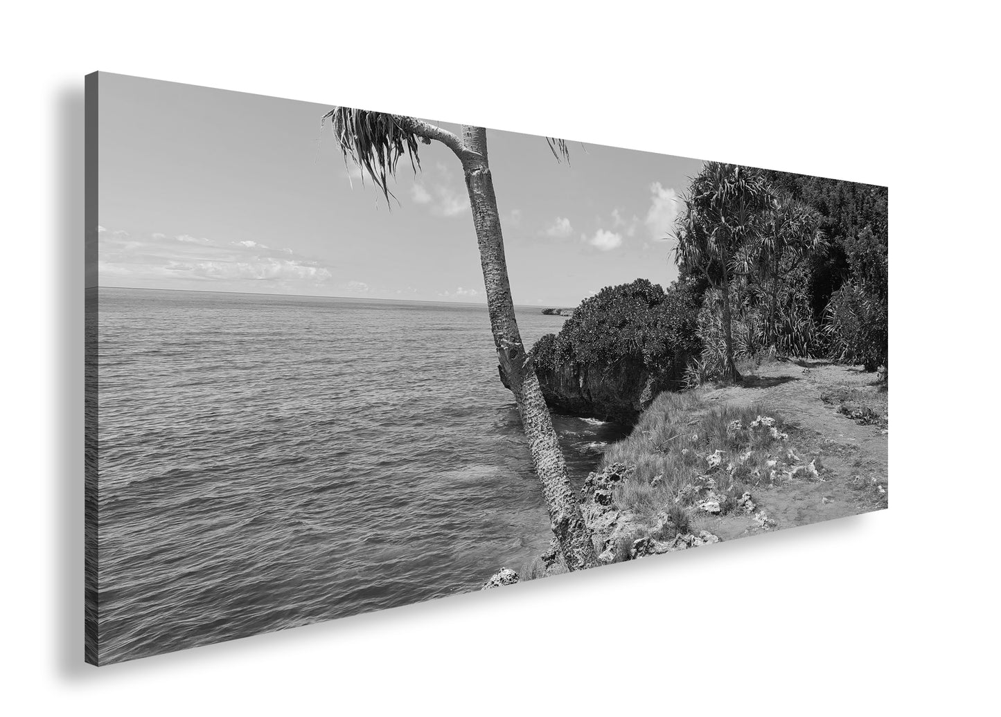 Hauptbild Schwarz & Weiß Panorama