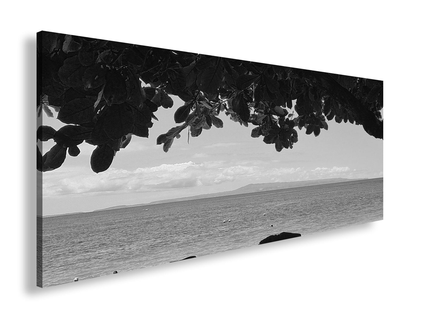 Hauptbild Schwarz & Weiß Panorama