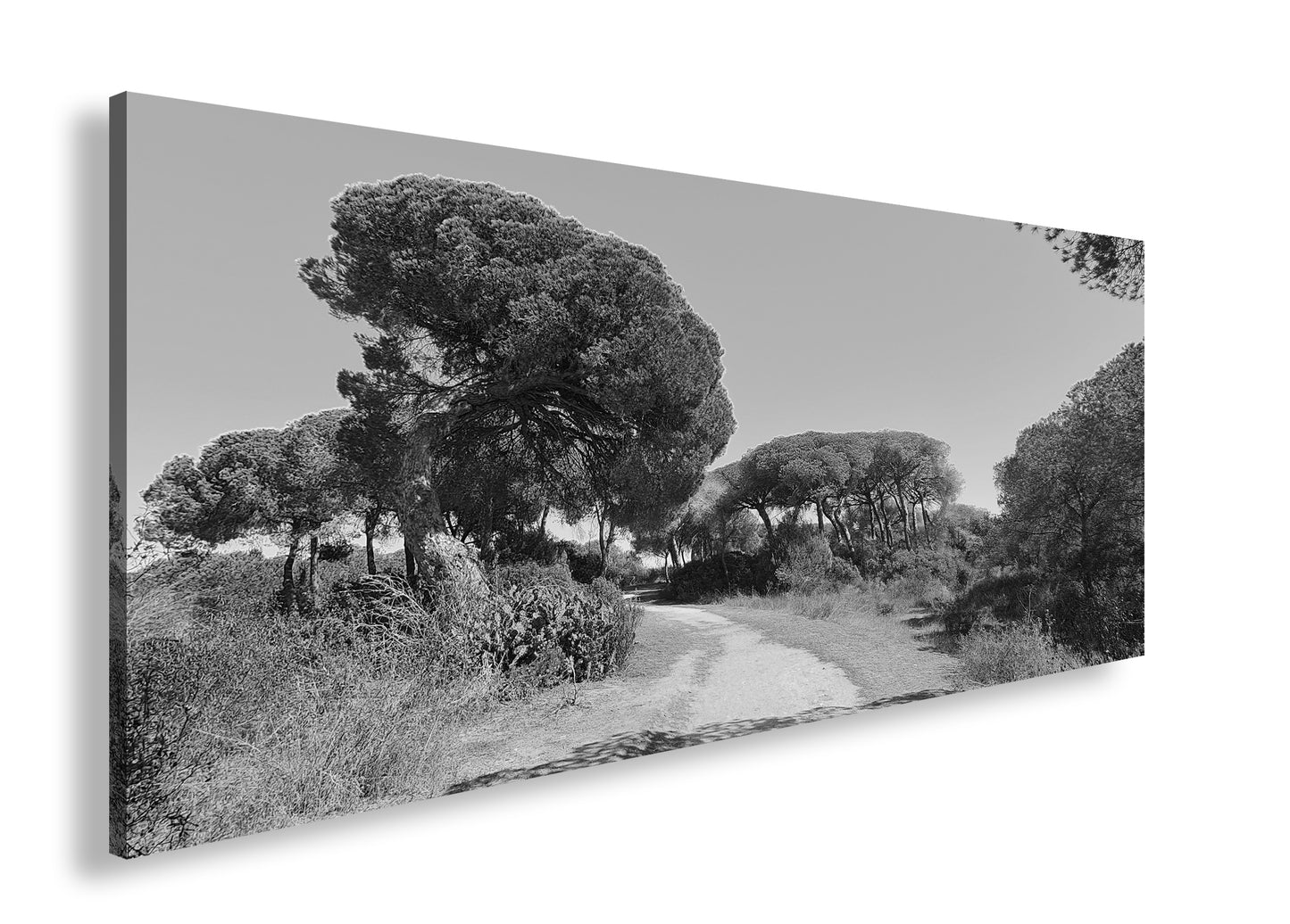 Hauptbild Schwarz & Weiß Panorama