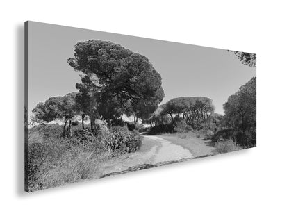 Hauptbild Schwarz & Weiß Panorama