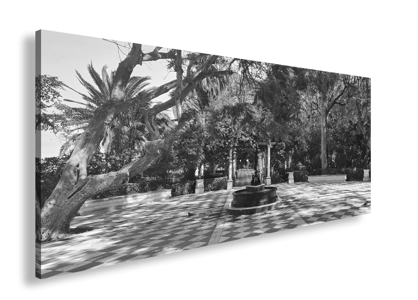 Hauptbild Schwarz & Weiß Panorama