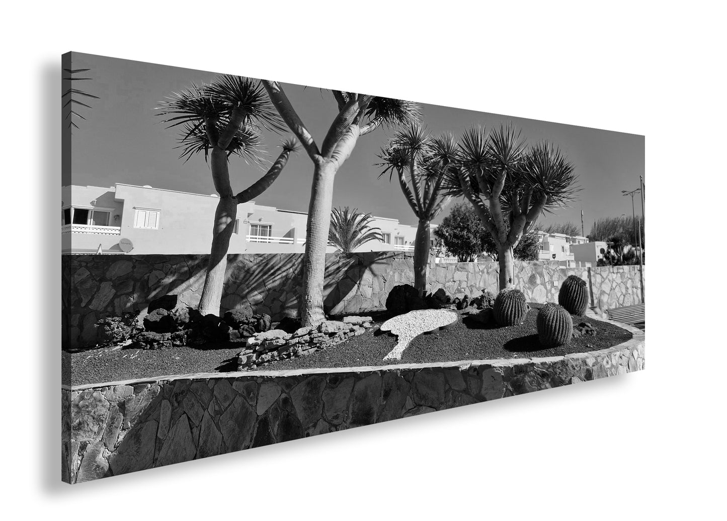 Hauptbild Schwarz & Weiß Panorama