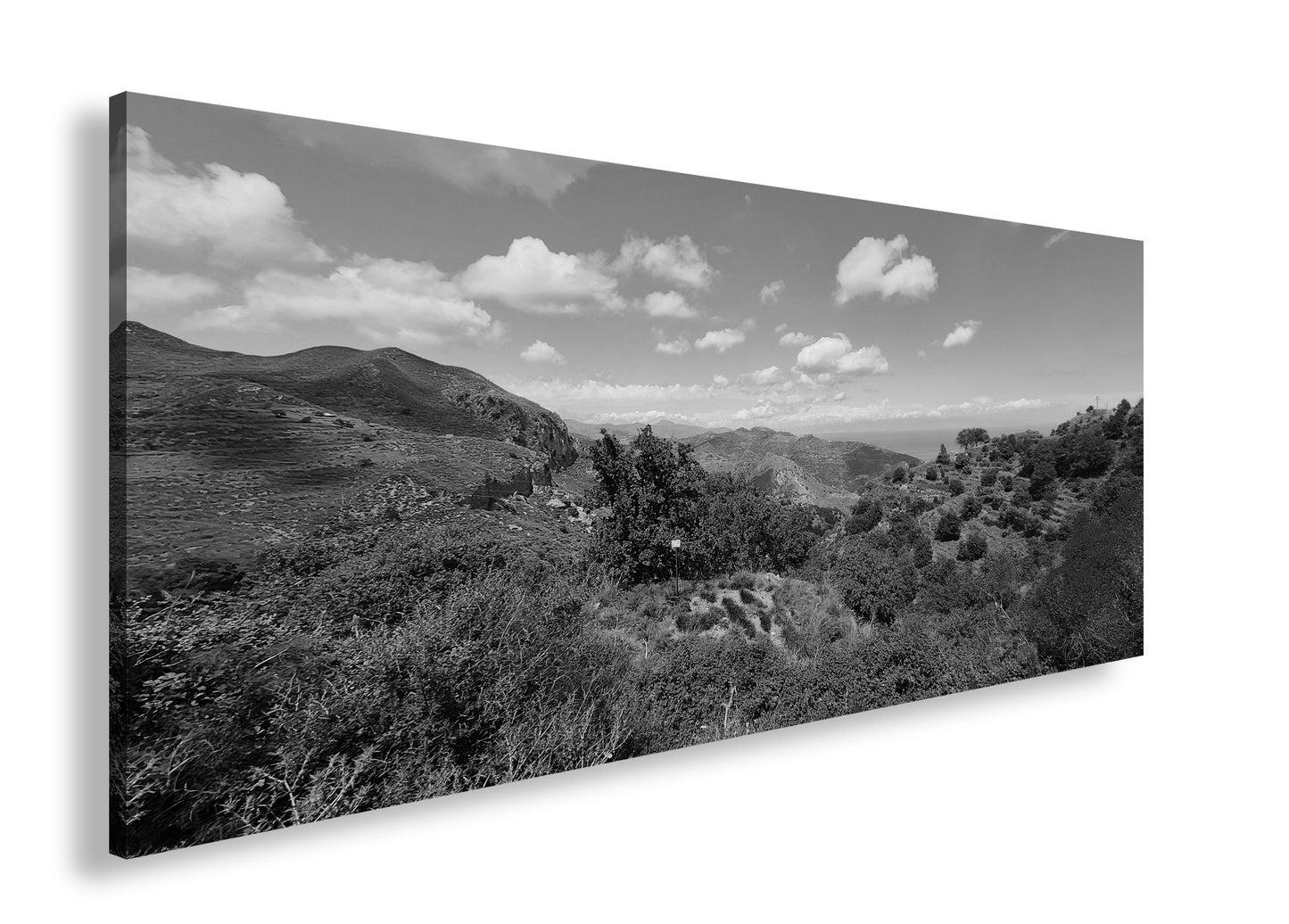 Hauptbild Schwarz & Weiß Panorama