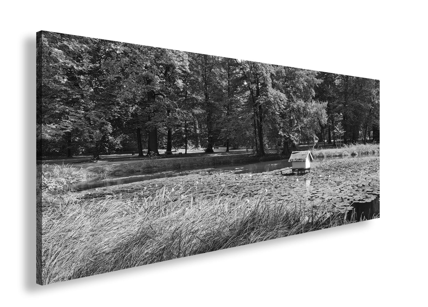 Hauptbild Schwarz & Weiß Panorama