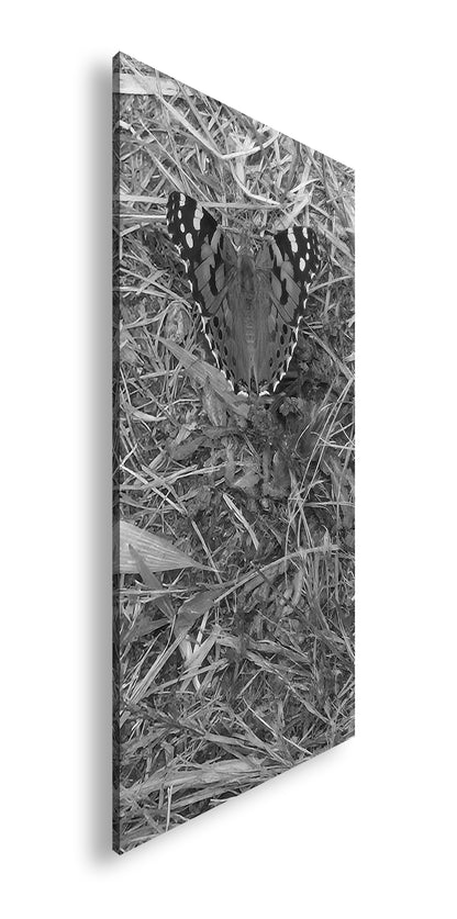 Hauptbild Schwarz & Weiß Panorama