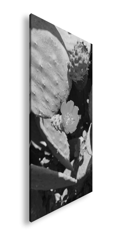 Hauptbild Schwarz & Weiß Panorama