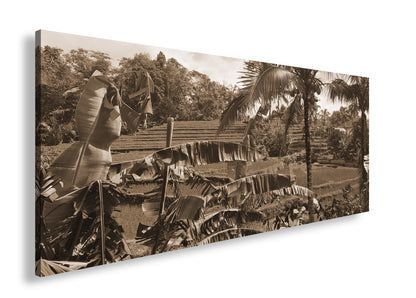 Hauptbild Sepia Panorama