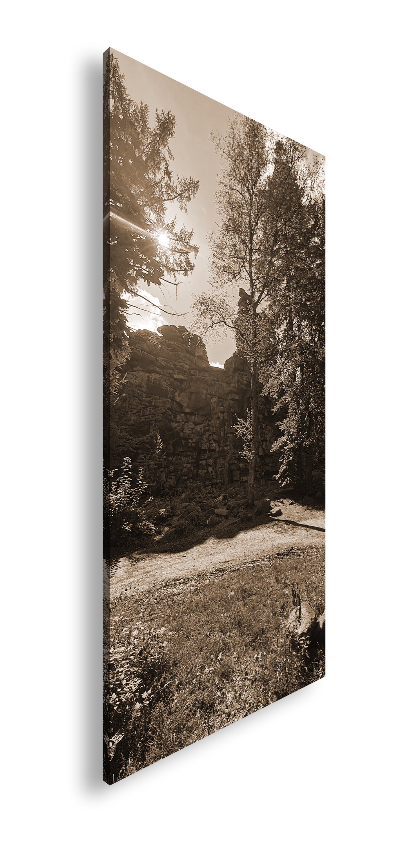 Hauptbild Sepia Panorama