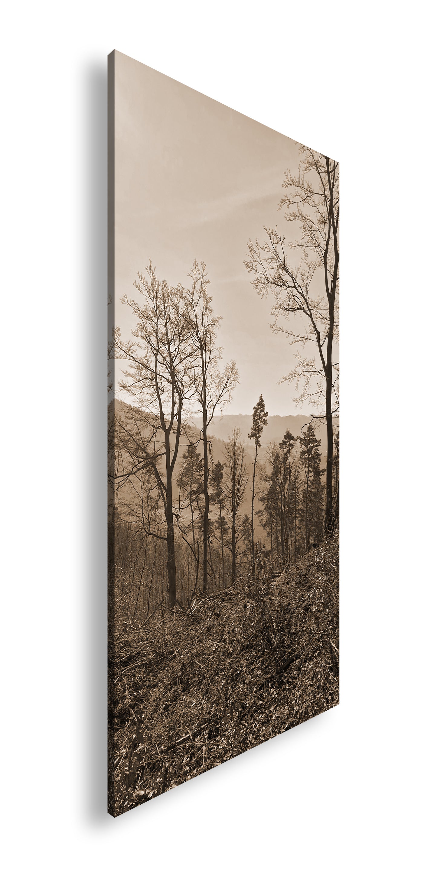 Hauptbild Sepia Panorama