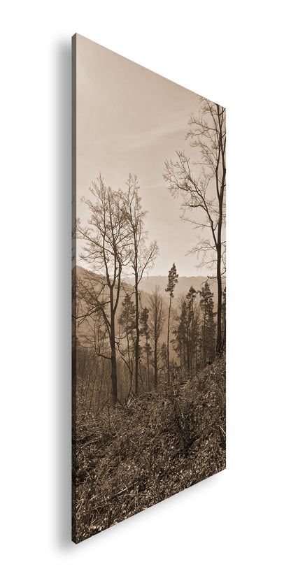Hauptbild Sepia Panorama