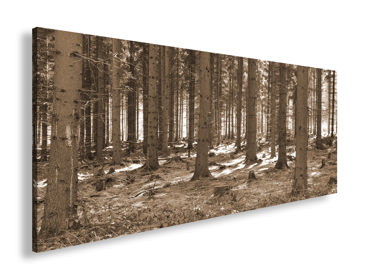 Hauptbild Sepia Panorama