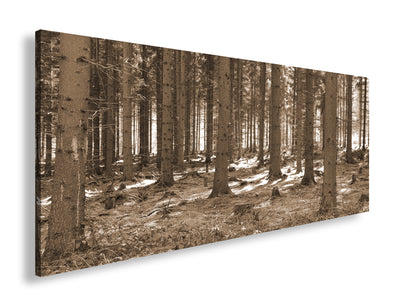 Hauptbild Sepia Panorama