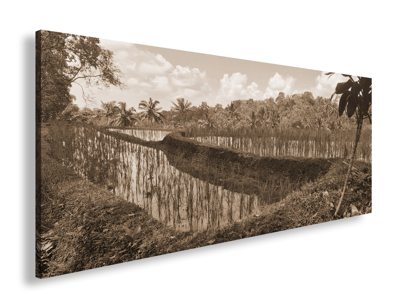 Hauptbild Sepia Panorama